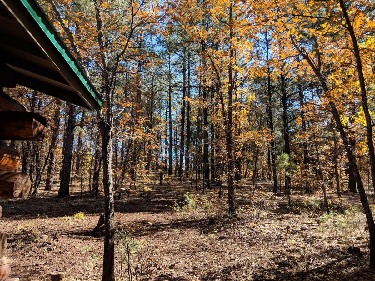 فيلا Cozy Cub Log Cabin - Year Round Tranquil Beauty باينتوب ليكسايد المظهر الخارجي الصورة