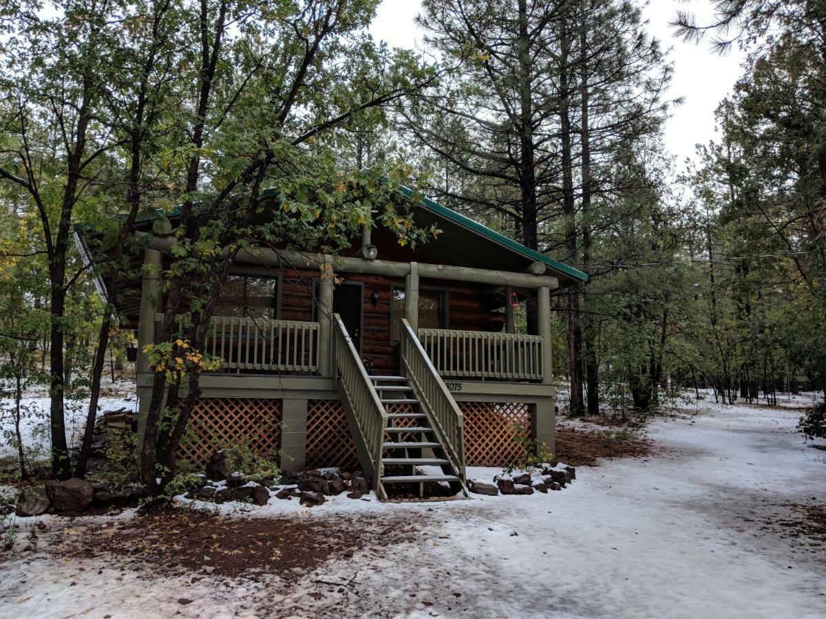 Cozy Cub Log Cabin - Year Round Tranquil Beauty باينتوب ليكسايد المظهر الخارجي الصورة